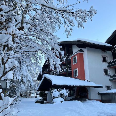 B&B In Seefeld ゼーフェルト・イン・チロル エクステリア 写真