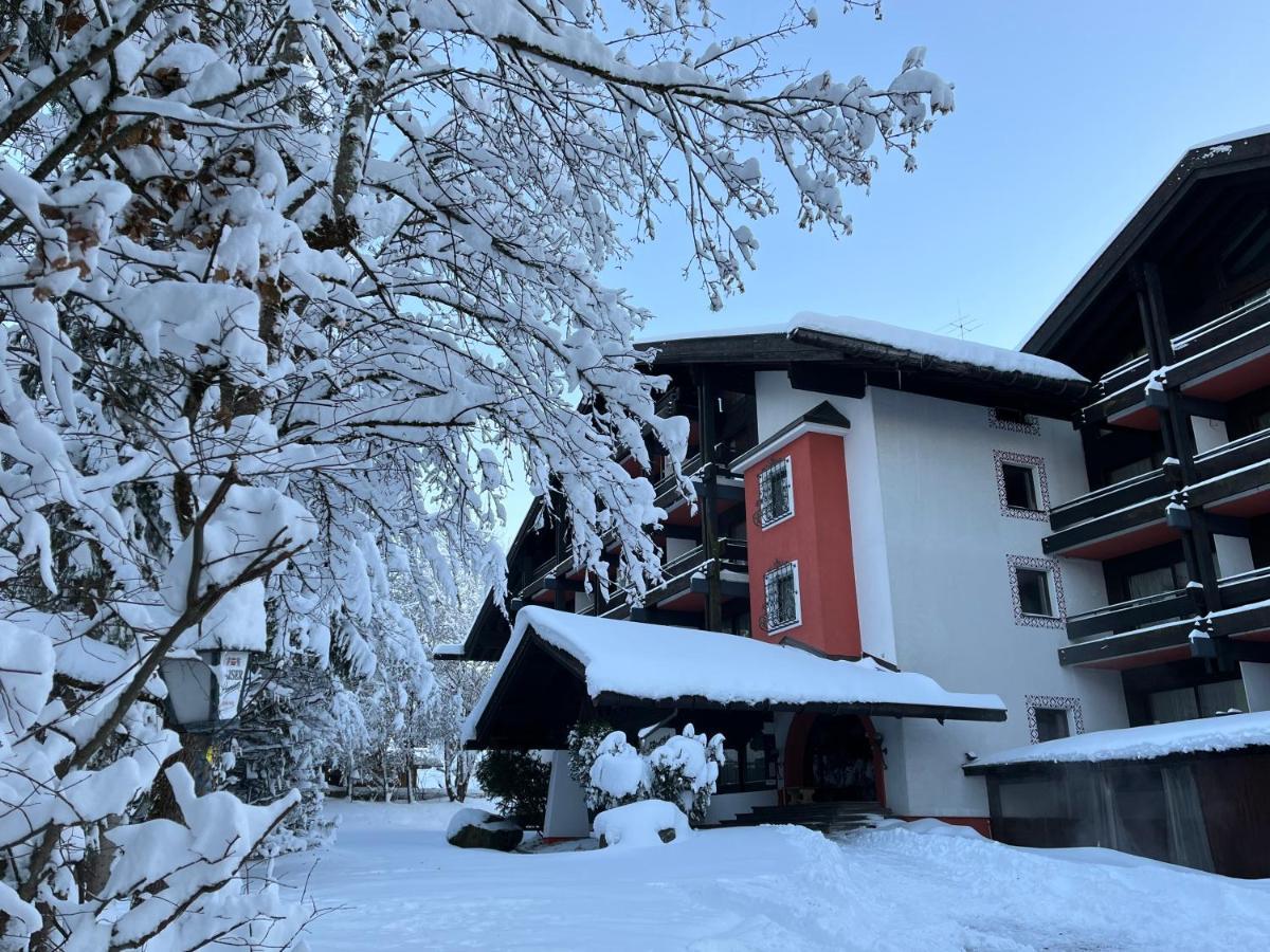 B&B In Seefeld ゼーフェルト・イン・チロル エクステリア 写真