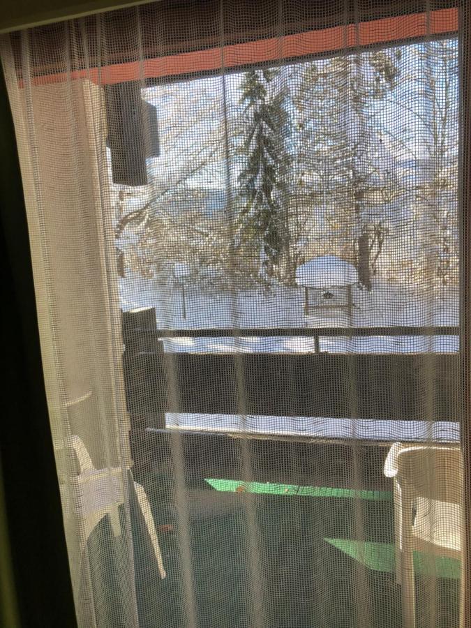 B&B In Seefeld ゼーフェルト・イン・チロル エクステリア 写真